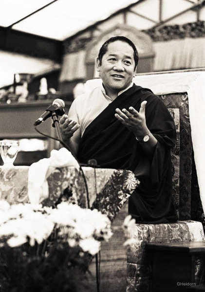 2002 - Université d’été au fil des ans