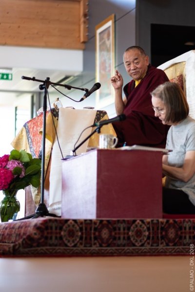 2018 - Université d’été au fil des ans