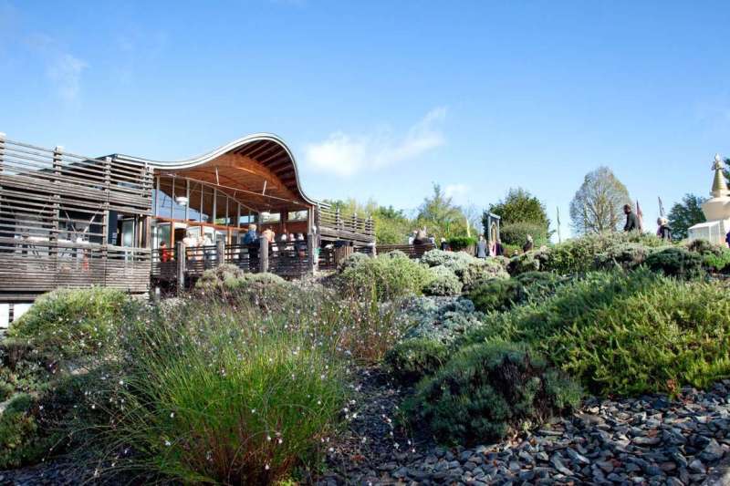 2025-10-04_NendoRinpoche_FB@DKLmedia-12