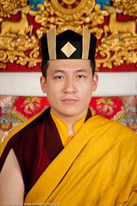 17e karmapa trinley thaye dorje