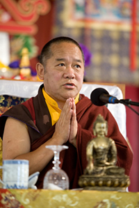 khenpô chodrak tenphel rinpoche