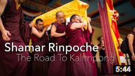 Shamar Rinpoche: The Road To Kalimpong 