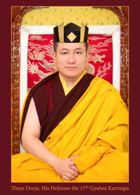 Thayé Dorjé, Sa Sainteté le 17e Gyalwa Karmapa 
