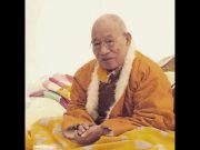 Do Drobchen Rinpoché