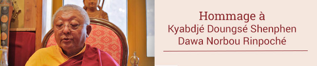 Hommage à Kyabdjé Doungsé Shenphen Dawa Norbou Rinpoché