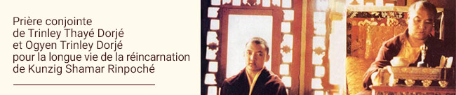 Joint long life prayer for Kunzig Shamar Rinpoche’s reincarnation by Trinley Thaye Dorje and Ogyen Trinley Dorje
