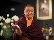 Kunzik Shamar Rinpoché