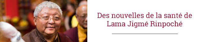 Des nouvelles de la santé de Lama Jigmé Rinpoché