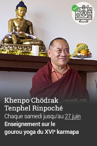 Khenpo Chödrak Thenpel Rinpoché 