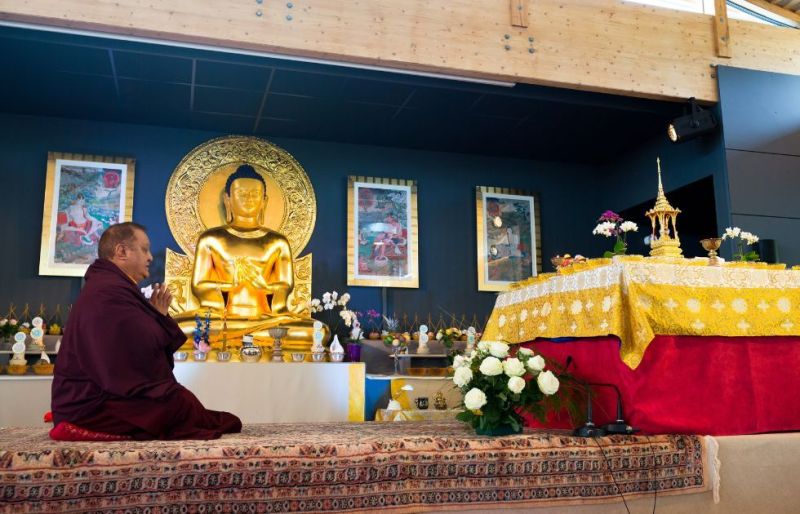 Stephane Offort - 017