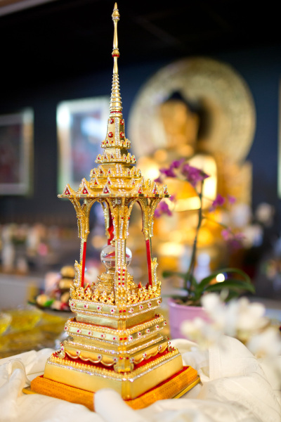 Shamar Rinpoché-DKL-mai 2014