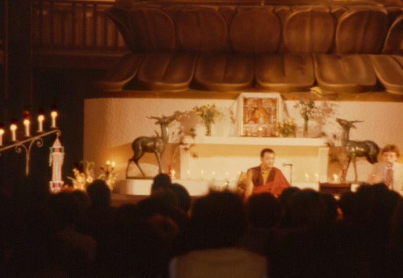 02_1098-Vincennes-Shamarpa-4.06.82.03_969x669