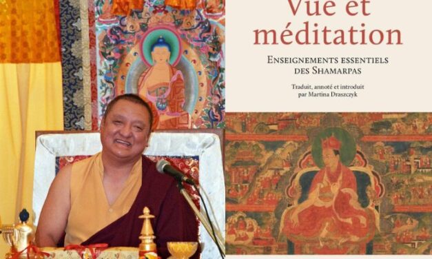 Publicación en francés del libro <i>Visión y Meditación</i> del XIV Kunzik Shamarpa