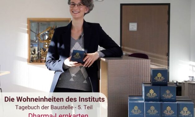 Lernen und fördern: die Dharma-Lernkarten