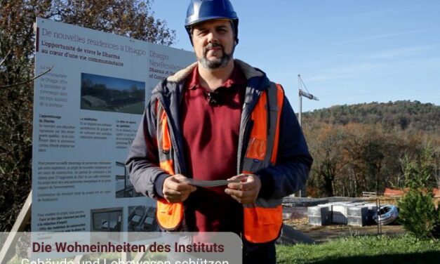 Termiten : Gebäude und Lebewesen schützen!