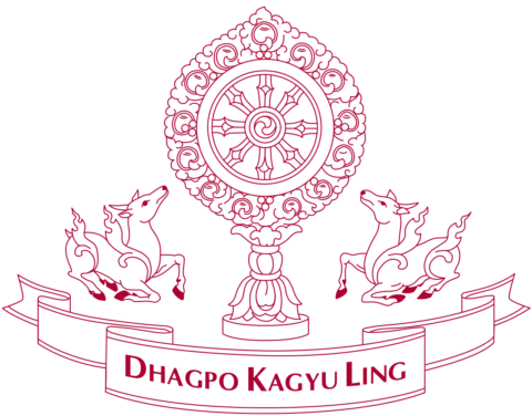 Passing of Drupla Michèle - Dhagpo Kagyu Ling