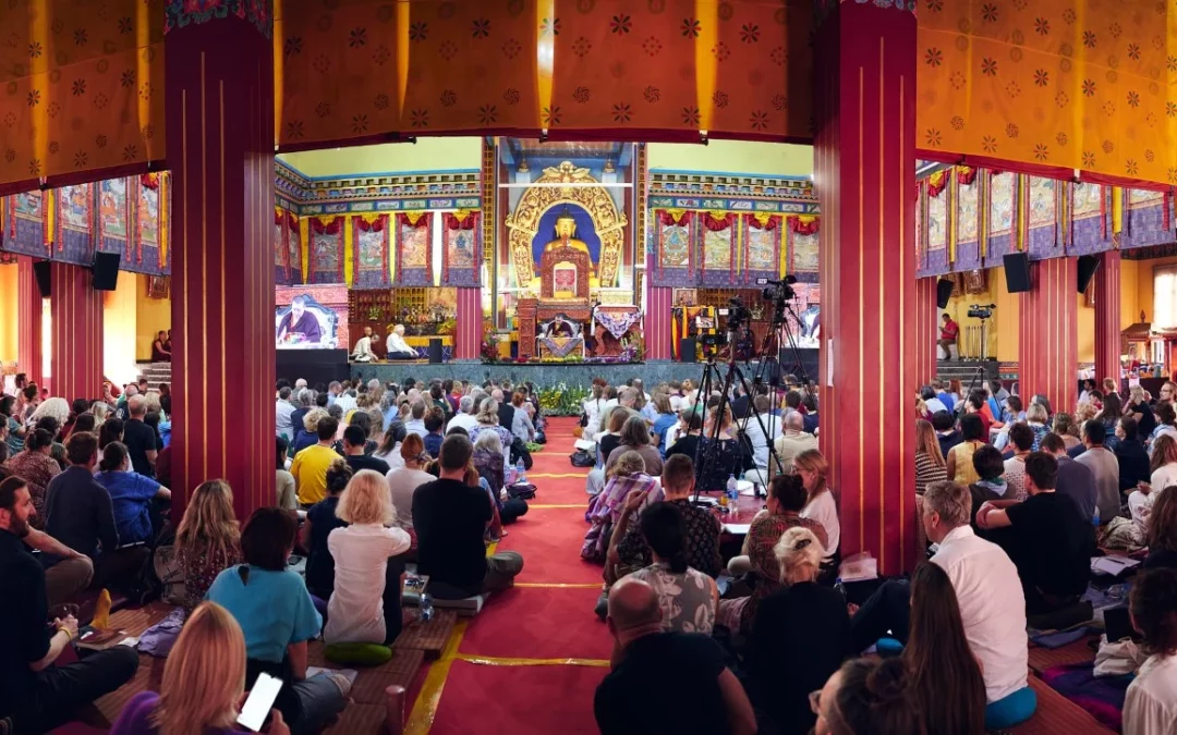 Curso público 2024 de Karmapa en línea