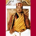 Rediffusion des enseignements de Kunzik Shamar Rinpoché, en ligne ce week-end