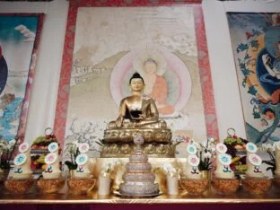 Karmapa gibt Dharma-Unterweisungen und eine Einweihung in Dhagpo Möhra