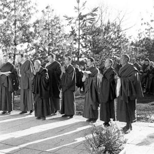 Stage public de méditation 2024 : photographies (suite)