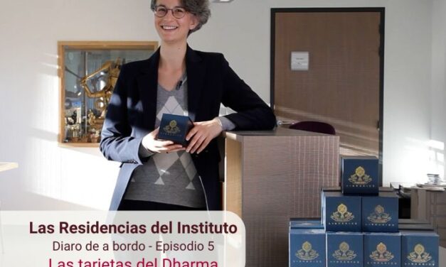 Aprender y apoyar: las tarjetas del Dharma