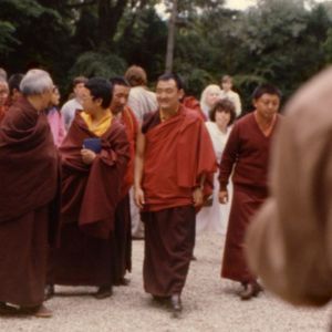 Stage public de méditation 2024 : photographies (suite)