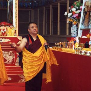 Stage public de méditation 2024 : photographies (suite)