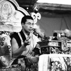 Stage public de méditation 2024 : photographies (suite)