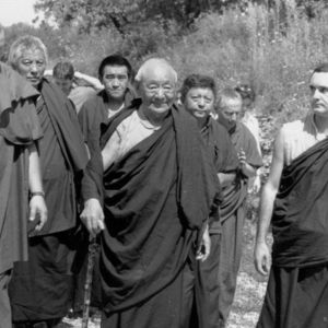 Stage public de méditation 2024 : photographies (suite)