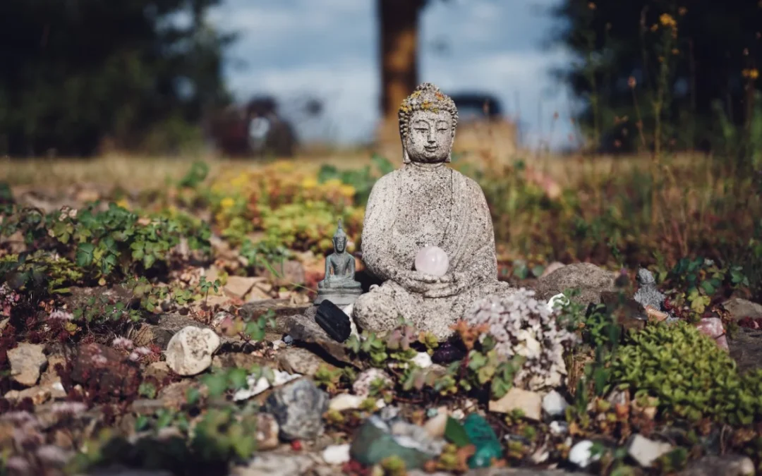 Karmapa s’est rendu à Dhagpo Möhra