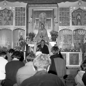 Stage public de méditation 2024 : photographies (suite)