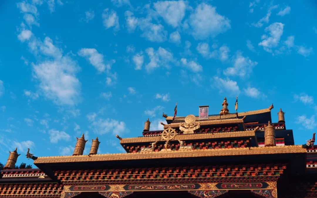 Karmapa llega a Dhagpo Sheydrub Ling