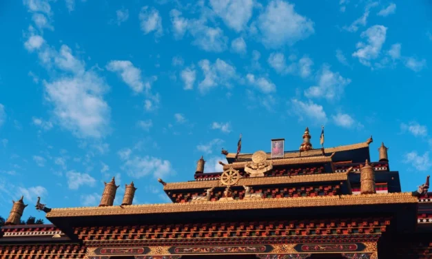 Karmapa kommt in Dhagpo Shedrub Ling