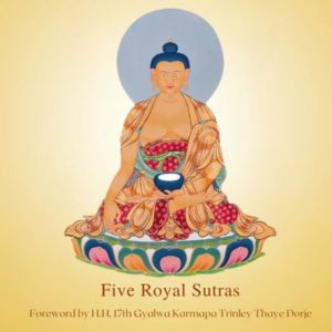 Stage public de méditation 2024 : photographies (suite)