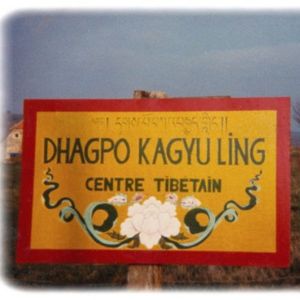 Stage public de méditation 2024 : photographies (suite)