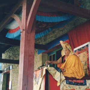 Stage public de méditation 2024 : photographies (suite)