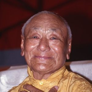 Stage public de méditation 2024 : photographies (suite)