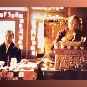 Stage public de méditation 2024 : photographies (suite)