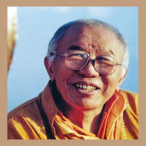 Stage public de méditation 2024 : photographies (suite)