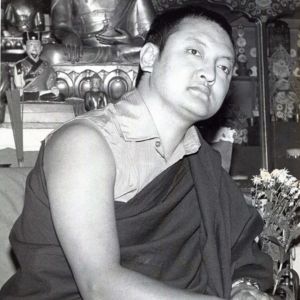 Stage public de méditation 2024 : photographies (suite)