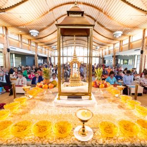 Stage public de méditation 2024 : photographies (suite)