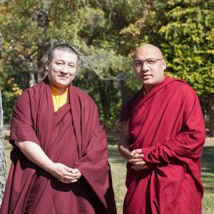 Stage public de méditation 2024 : photographies (suite)