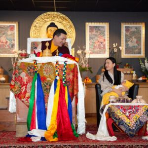 Stage public de méditation 2024 : photographies (suite)