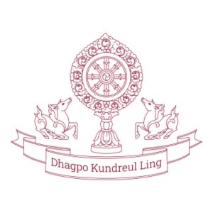 Stage public de méditation 2024 : photographies (suite)