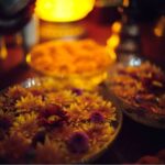 Curso público 2026 de Karmapa en línea