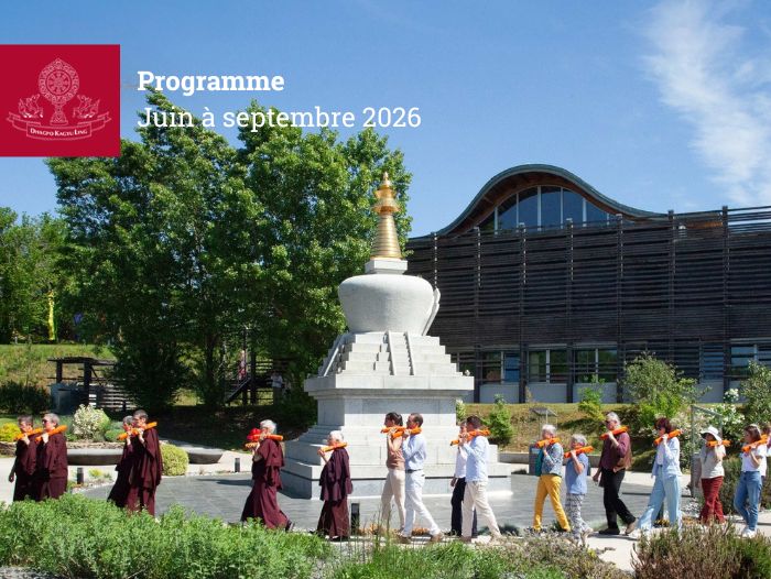 Neues Programm – Juni bis September 2026